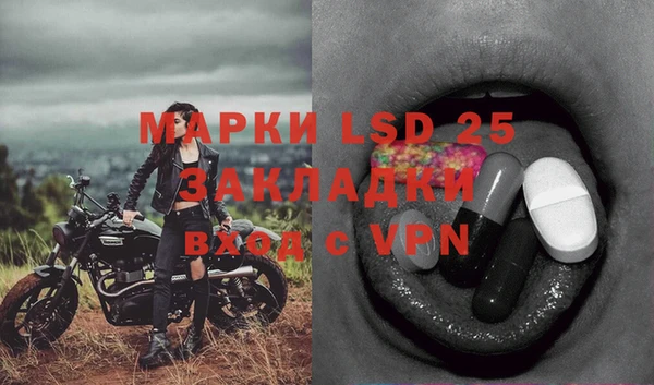 прущие грибы Абаза
