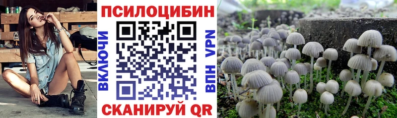 Псилоцибиновые грибы Cubensis  как найти закладки  Суджа 